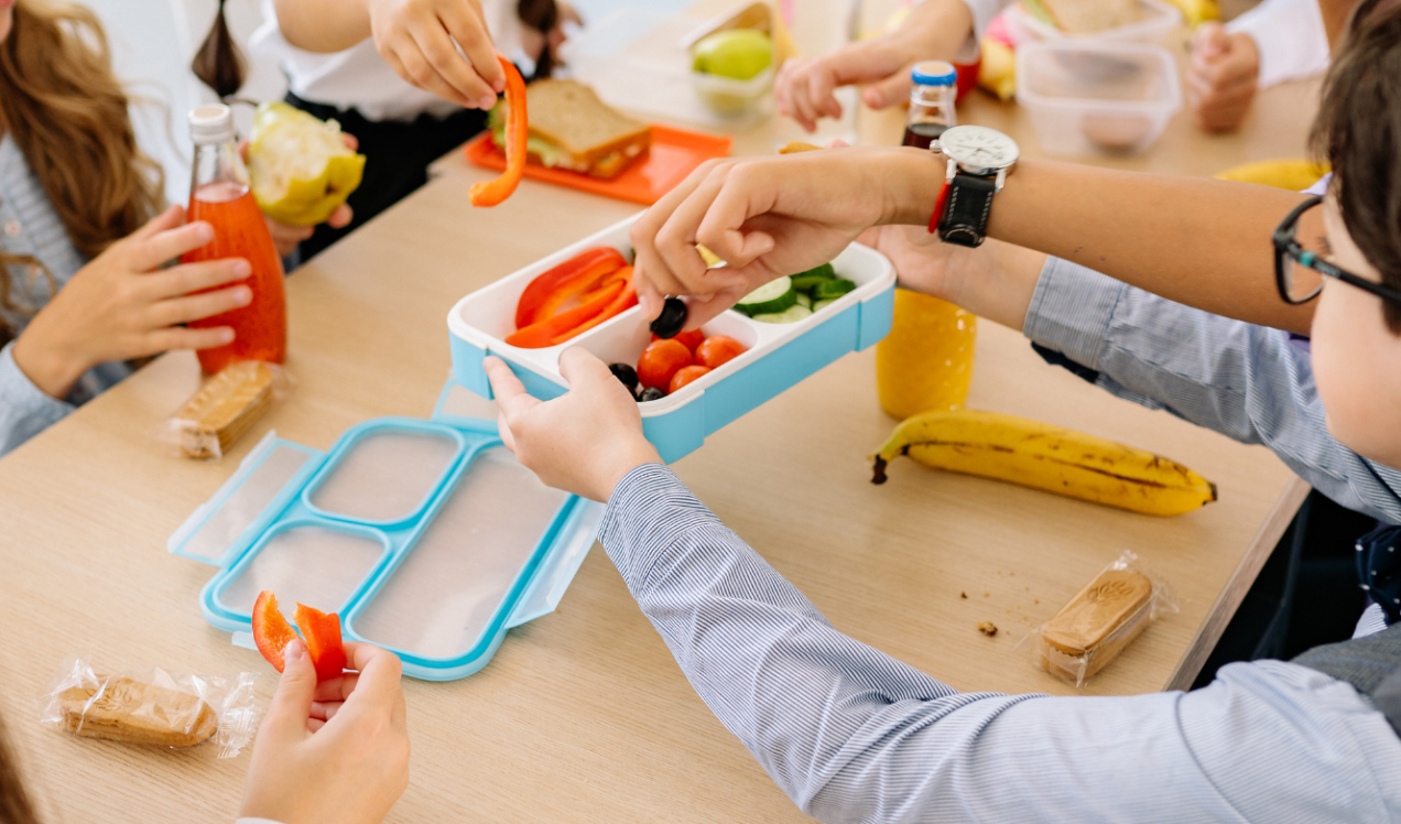 Greville Rd Medical Dental Kids Lunch Box Ideas